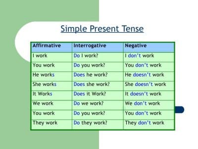 Detail Contoh Kalimat Simple Past Tense Positif Negatif Interogatif Nomer 12