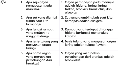 Detail Contoh Kalimat Tanda Tanya Nomer 2