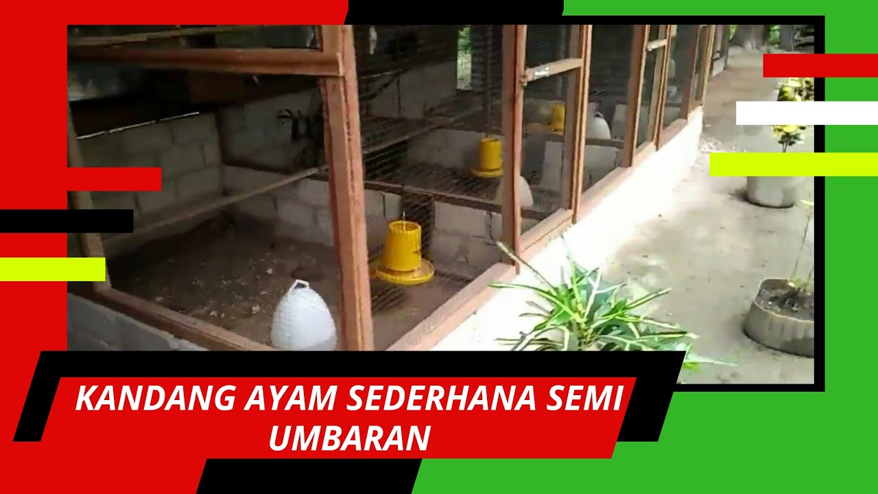 Detail Contoh Kandang Ayam Nomer 27