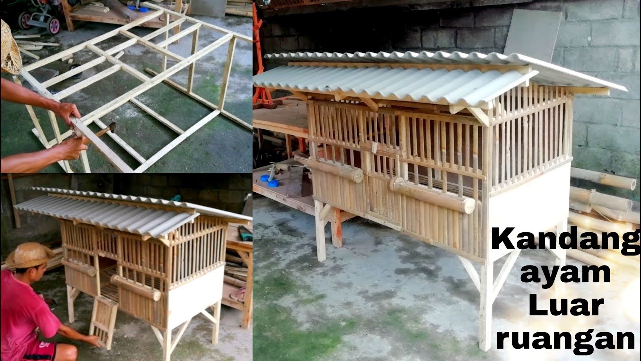 Detail Contoh Kandang Ayam Nomer 44