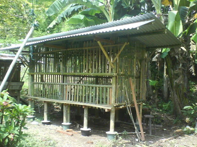 Detail Contoh Kandang Kambing Dari Bambu Nomer 2