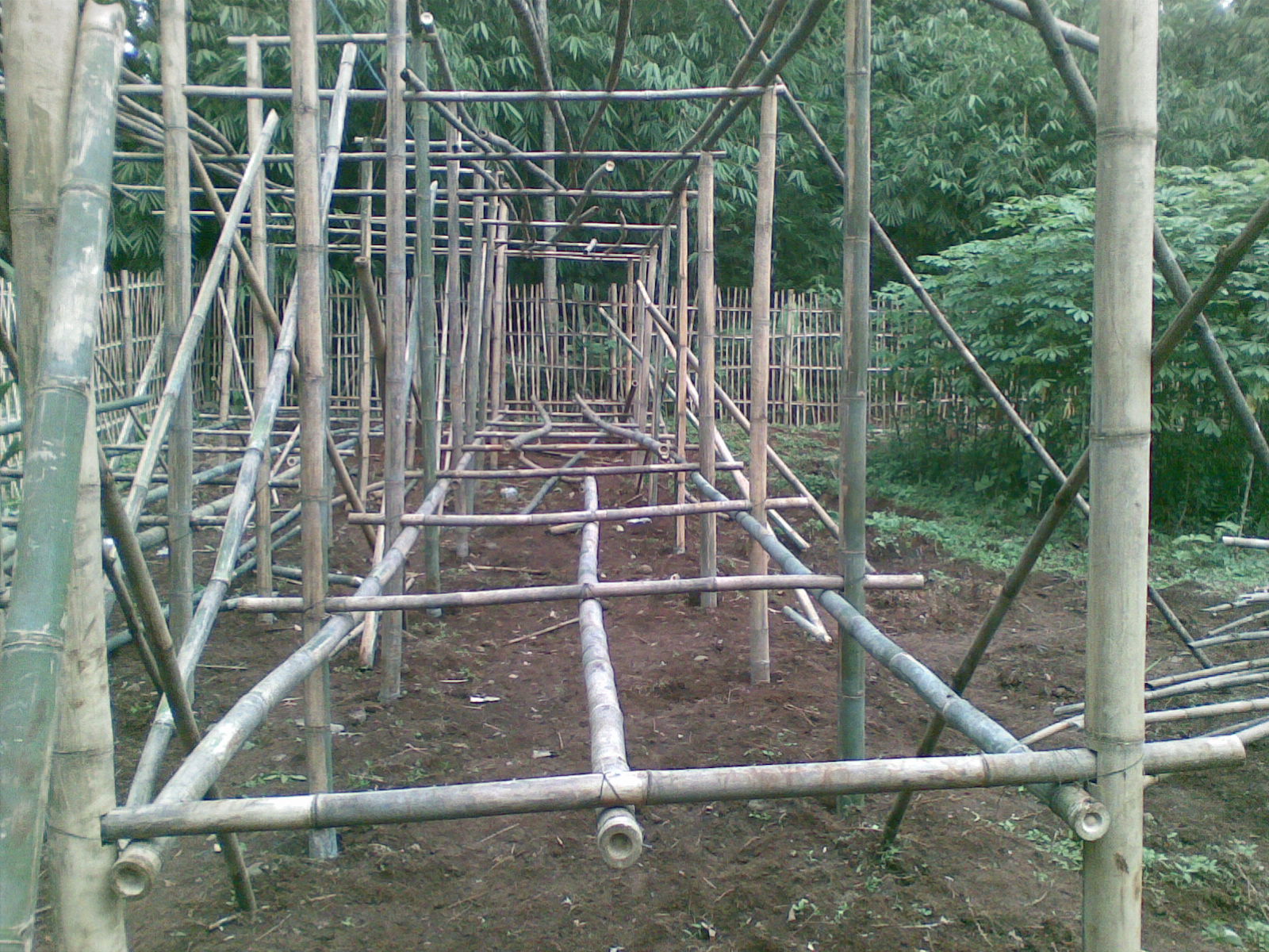 Detail Contoh Kandang Kambing Dari Bambu Nomer 50