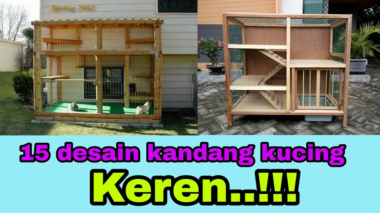 Detail Contoh Kandang Kucing Nomer 40