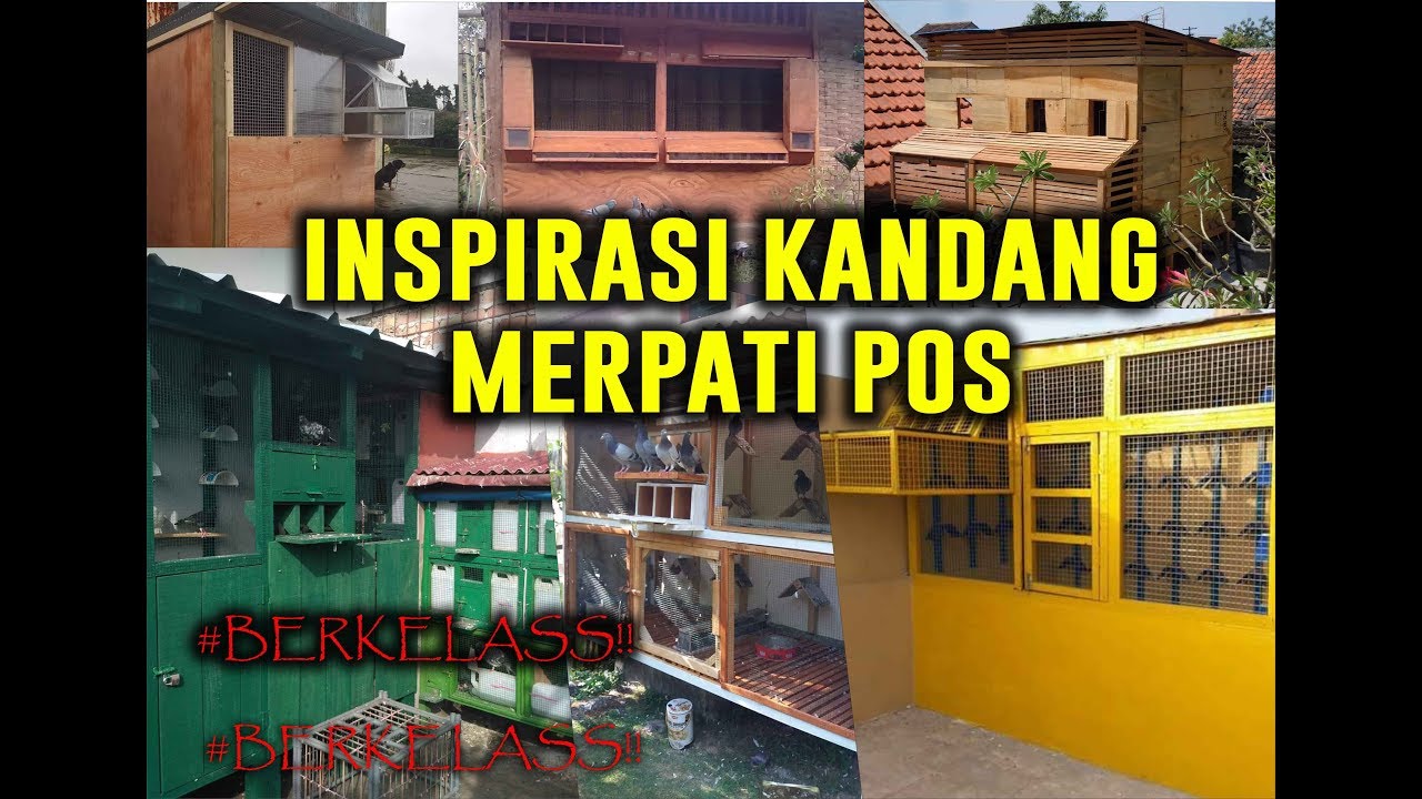 Detail Contoh Kandang Merpati Nomer 35