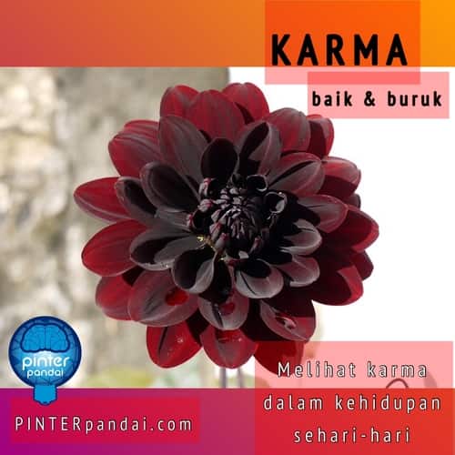 Detail Contoh Karma Cinta Nomer 36