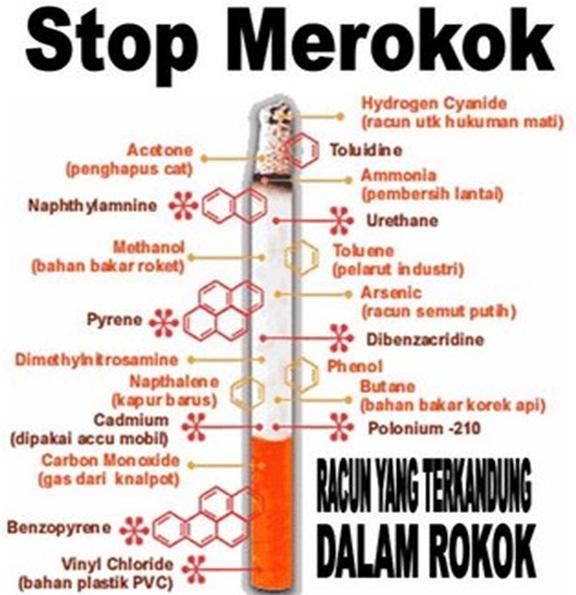 Detail Contoh Karya Ilmiah Tentang Bahaya Merokok Nomer 24