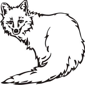 Detail Fuchs Zeichnung Nomer 23