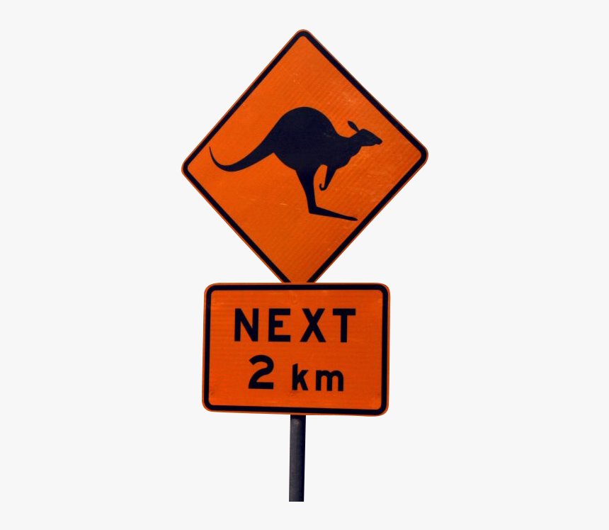 Detail Kangaroo Board Nomer 13