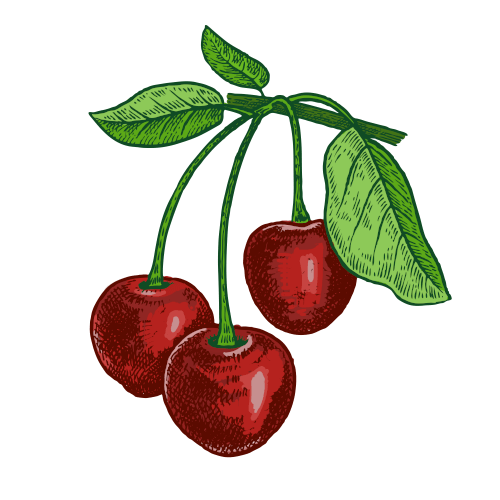 Kirschbaum Gemalt - KibrisPDR