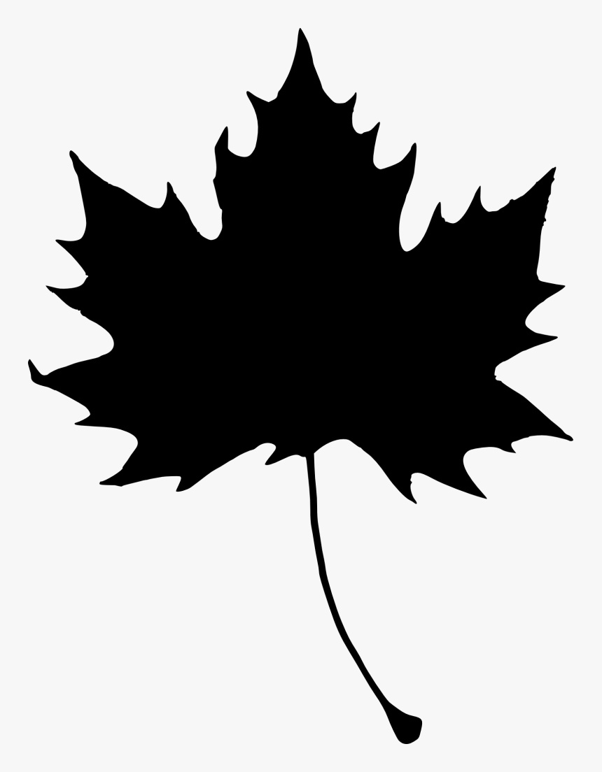 Detail Maple Leaf Black And White Nomer 2