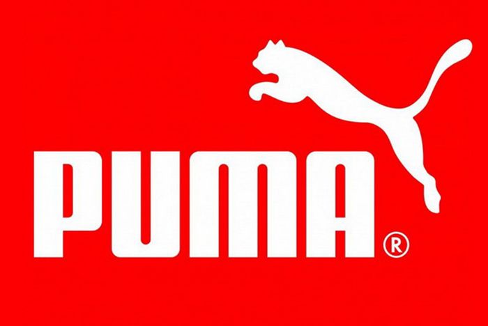 Detail Puma Bilder Nomer 12