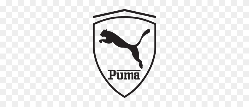 Detail Puma Bilder Nomer 13