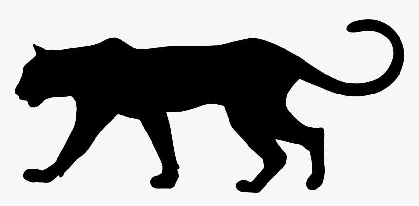 Detail Puma Bilder Nomer 2