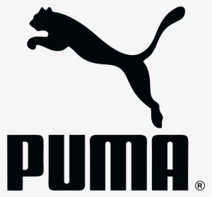 Detail Puma Bilder Nomer 5