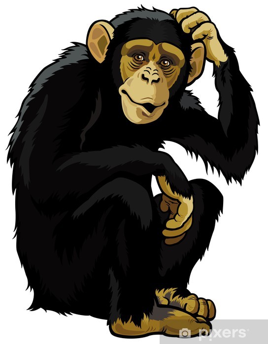 Detail Schimpansen Bilder Zum Drucken Nomer 20