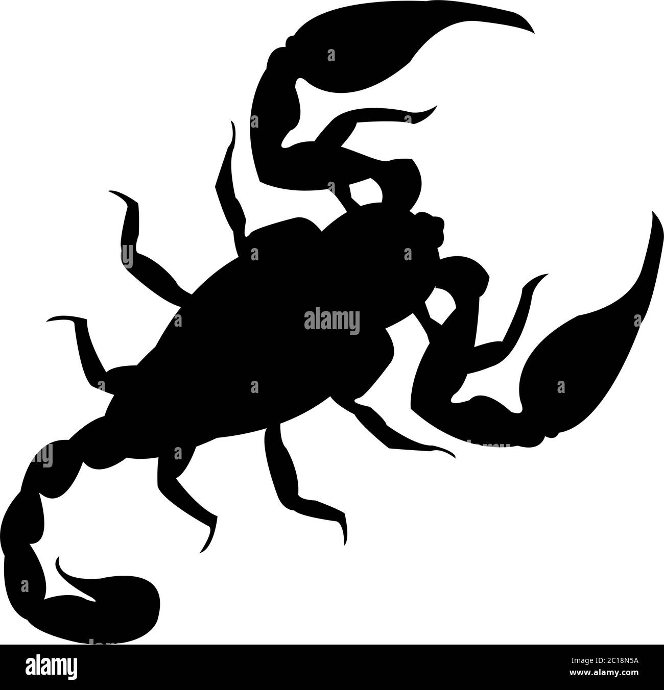 Detail Skorpion Skizze Nomer 12