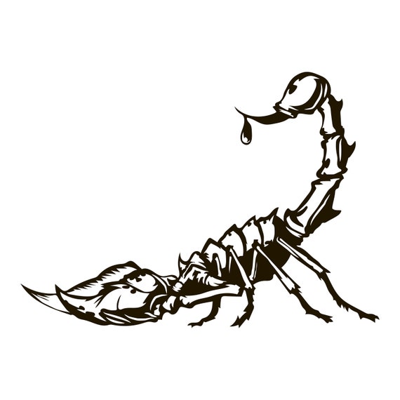 Detail Skorpion Skizze Nomer 24