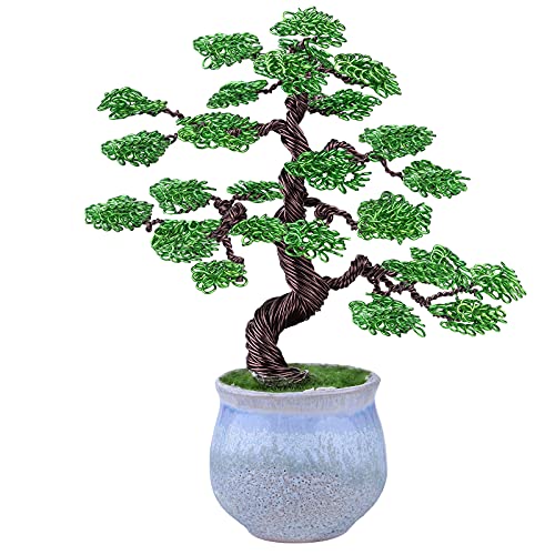 Detail Tanne Bonsai Nomer 14