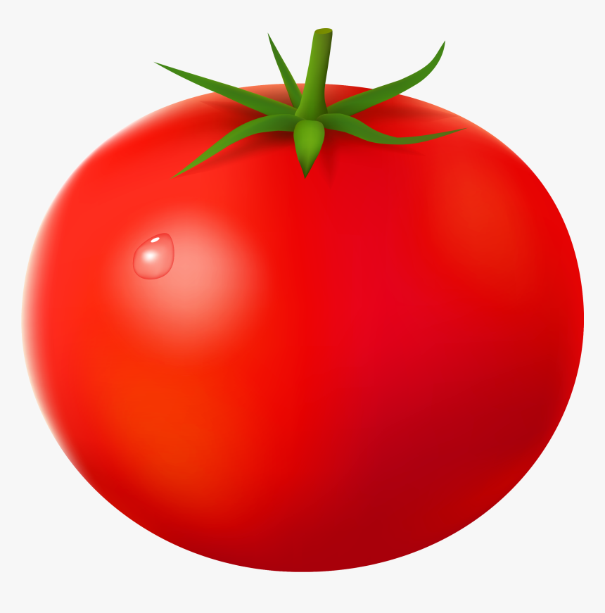 Detail Tomatoes Font Download Nomer 7