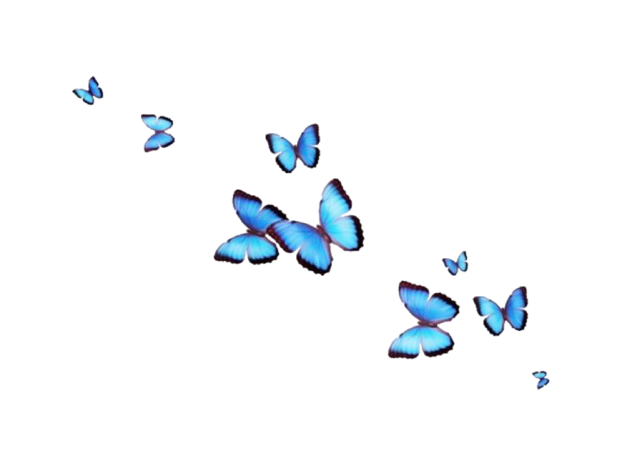 Detail Transparent Wallpaper Nomer 3