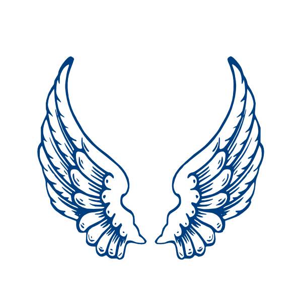 Detail Wing Or Wings Nomer 7