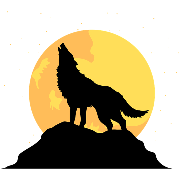 Detail Wolf Mit Mond Nomer 12