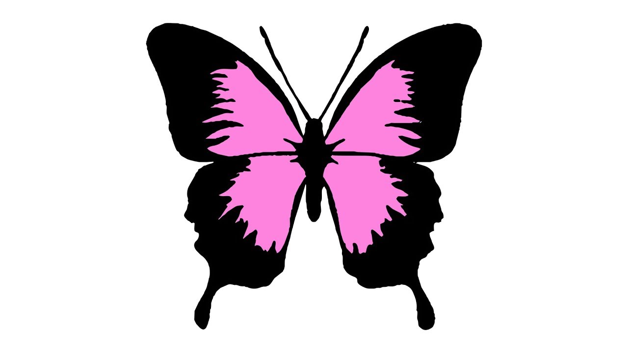 Detail Zeichnen Schmetterling Nomer 10