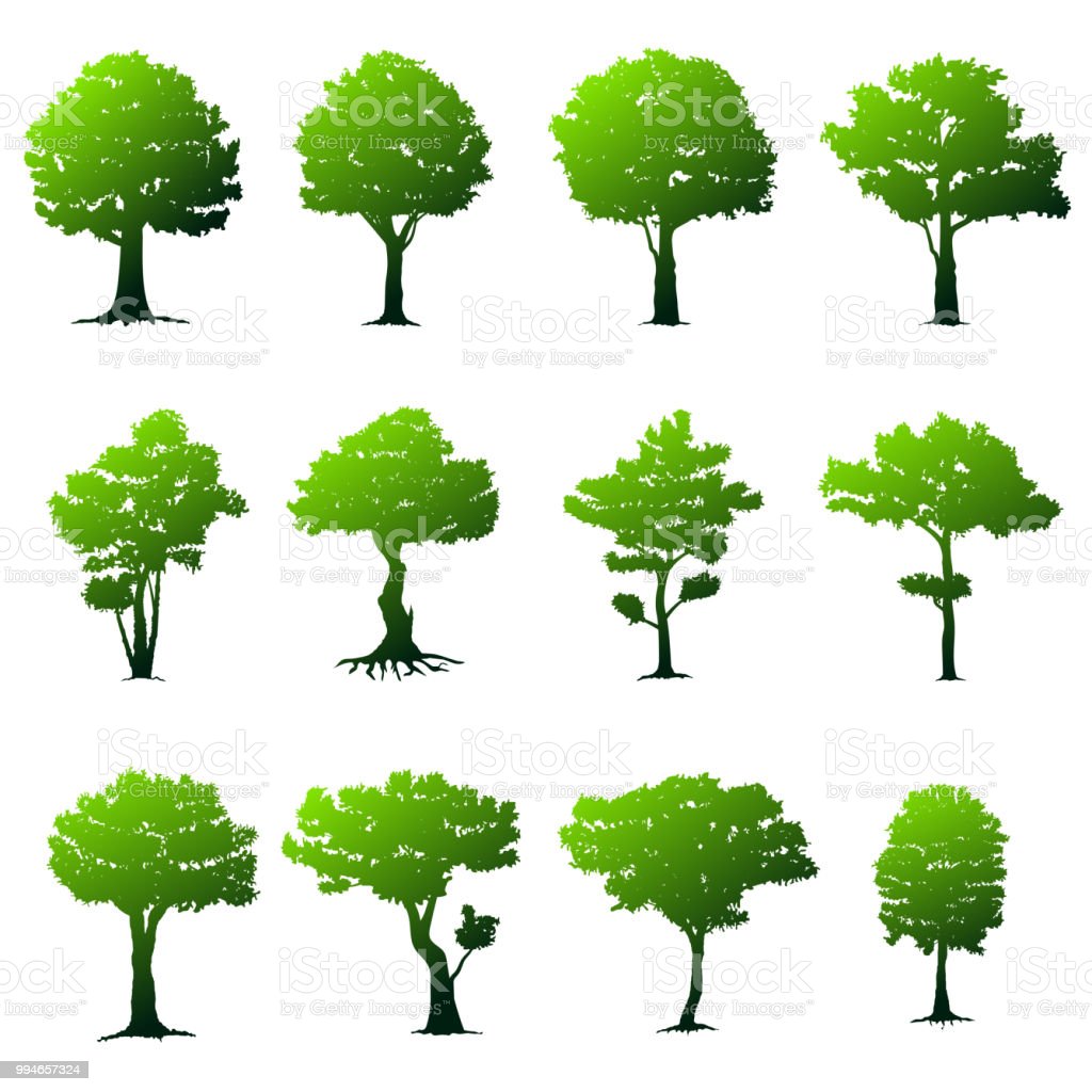 Detail Gambar Ilustrasi Pohon Nomer 4
