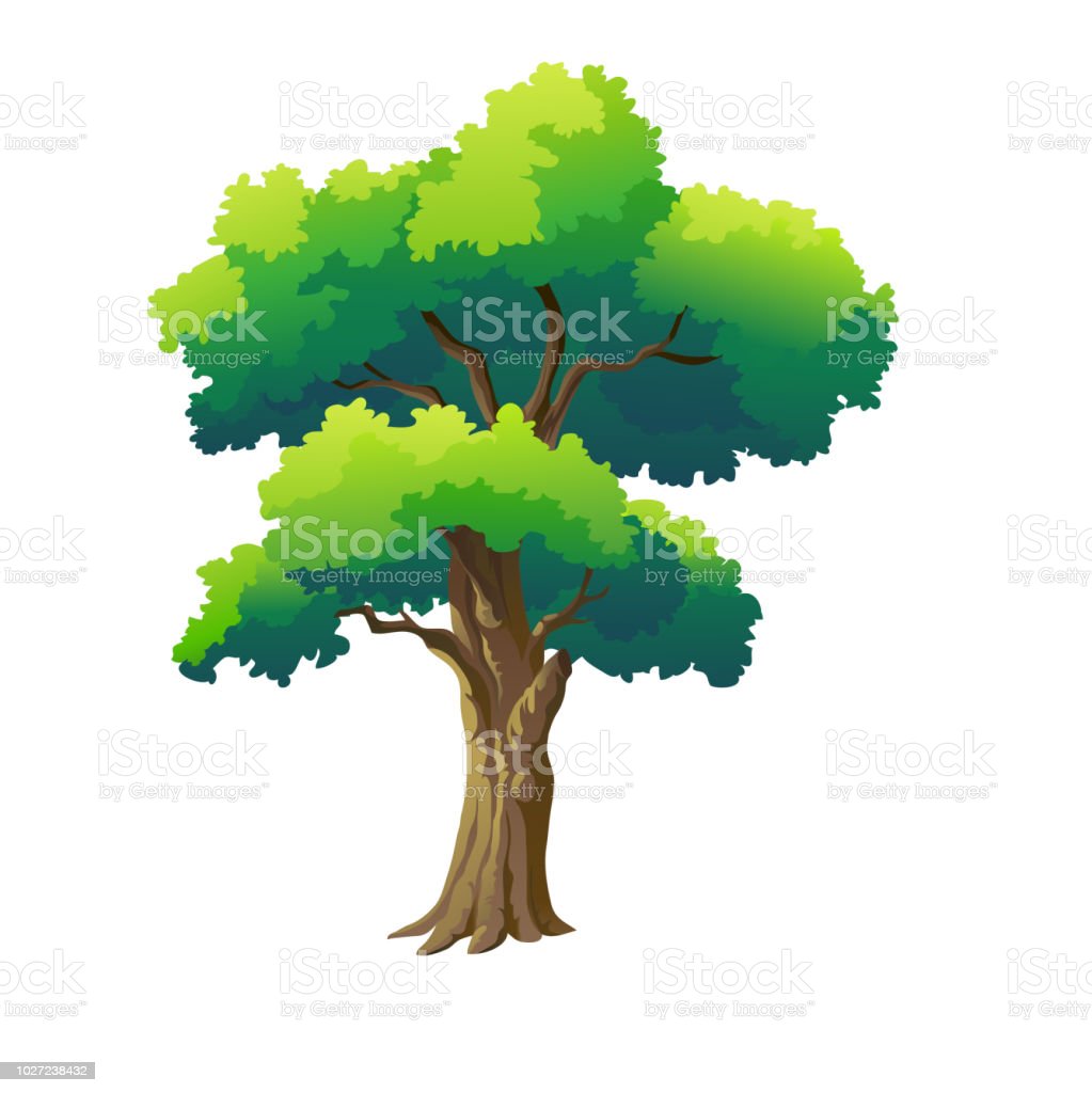 Detail Gambar Ilustrasi Pohon Nomer 7