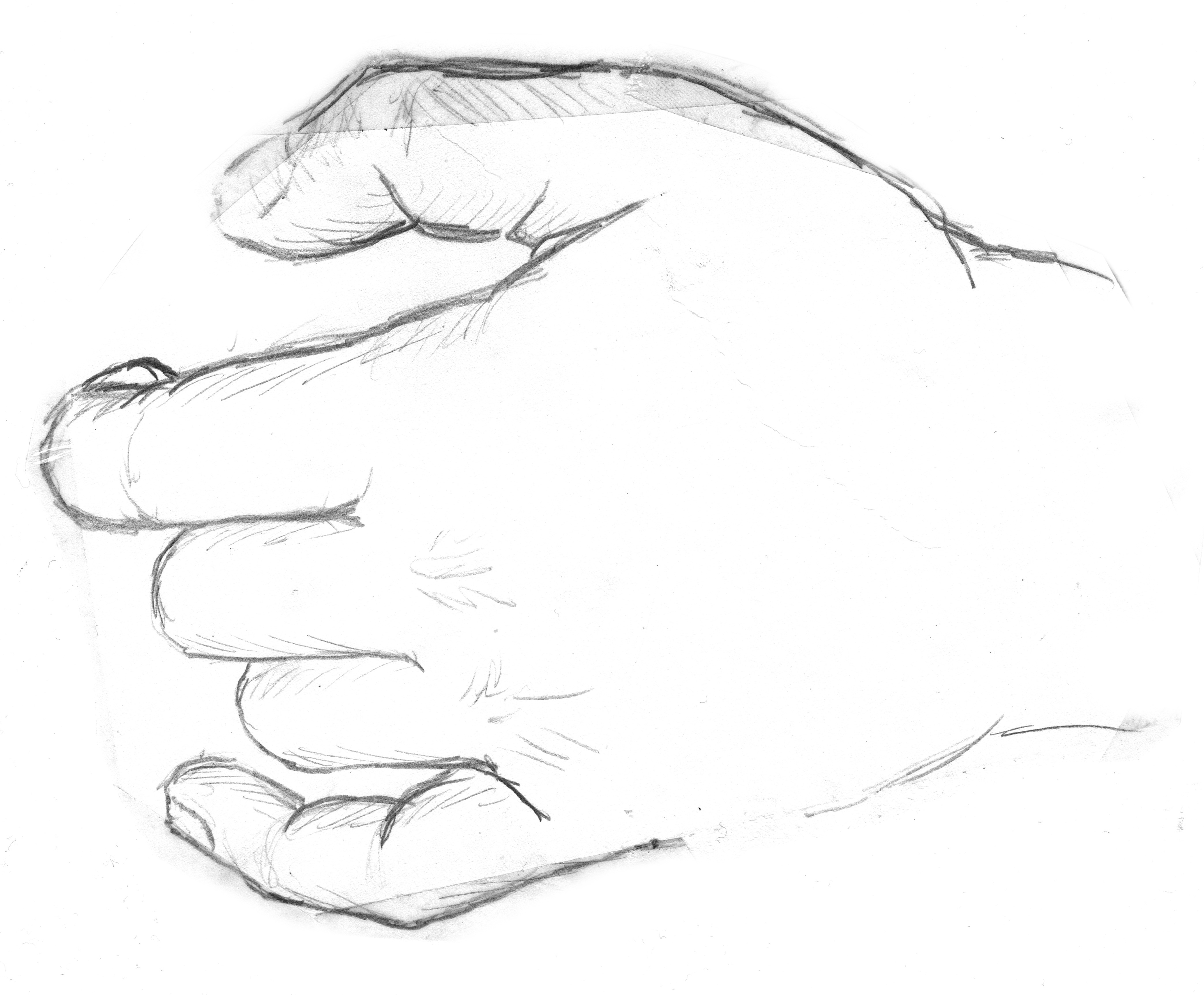 Detail Gambar Ilustrasi Tangan Nomer 8