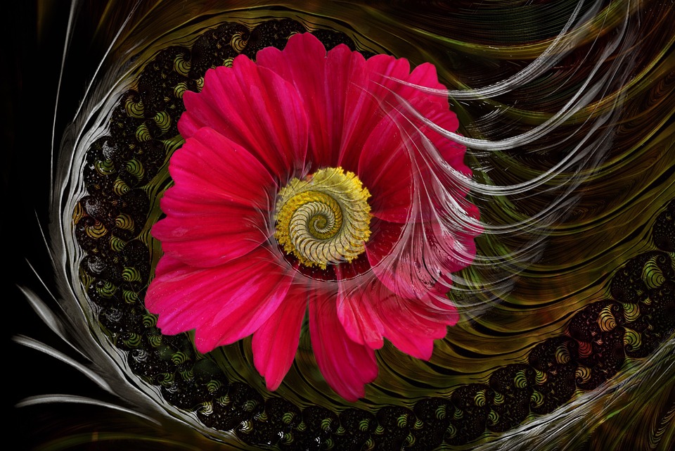 Detail Gambar Imajinasi Bunga Nomer 52