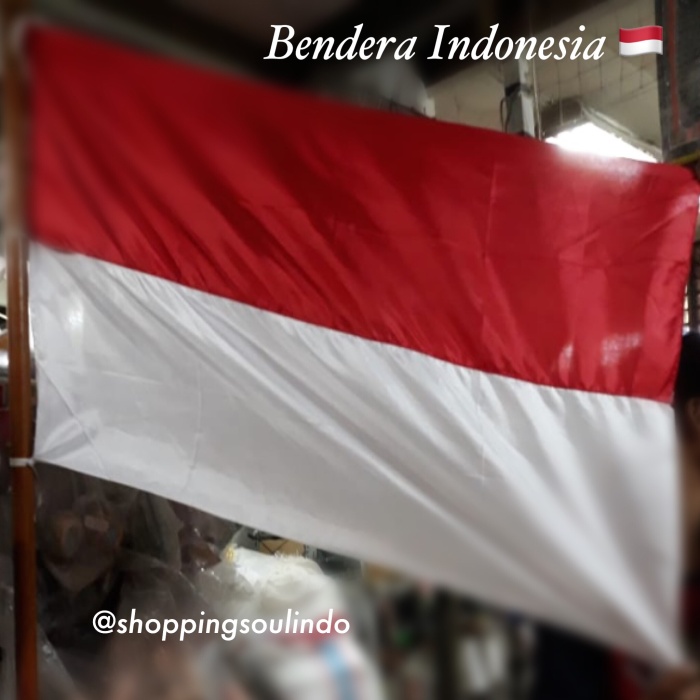 Detail Gambar Indonesia Bendera Nomer 46