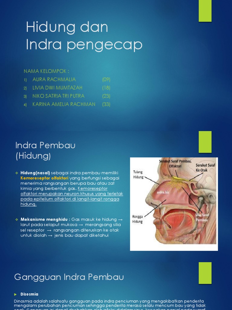 Detail Gambar Indra Pembau Nomer 55