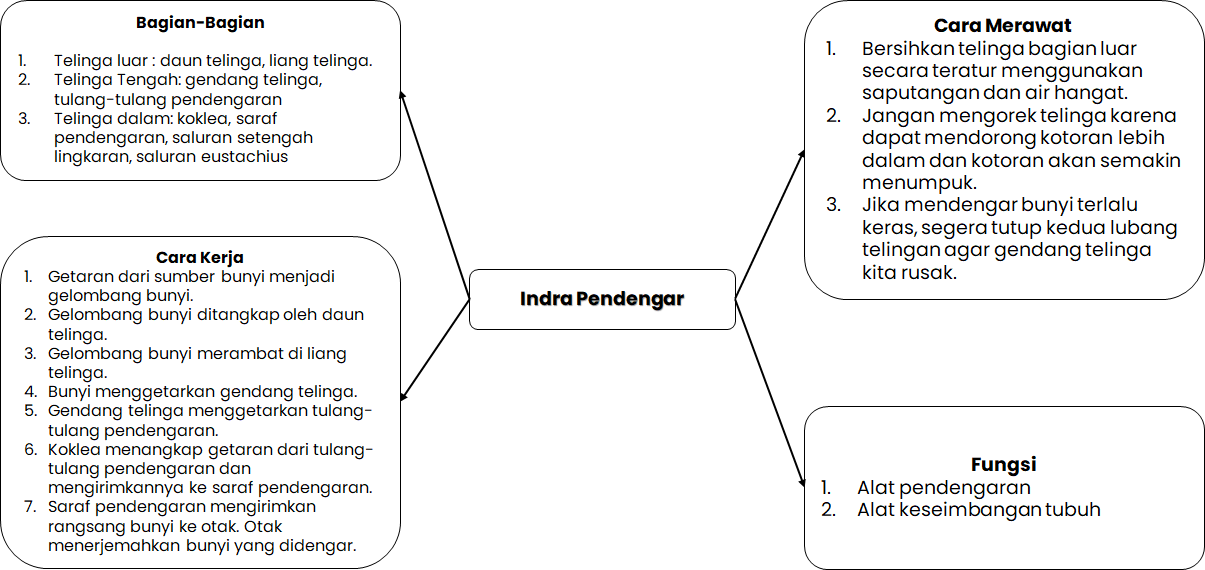 Detail Gambar Indra Pendengar Nomer 28