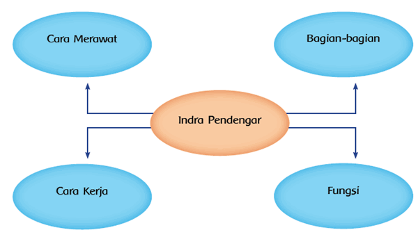 Detail Gambar Indra Pendengar Nomer 31