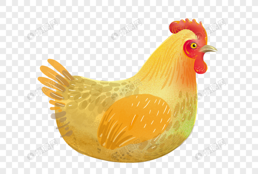 Detail Gambar Induk Ayam Nomer 9