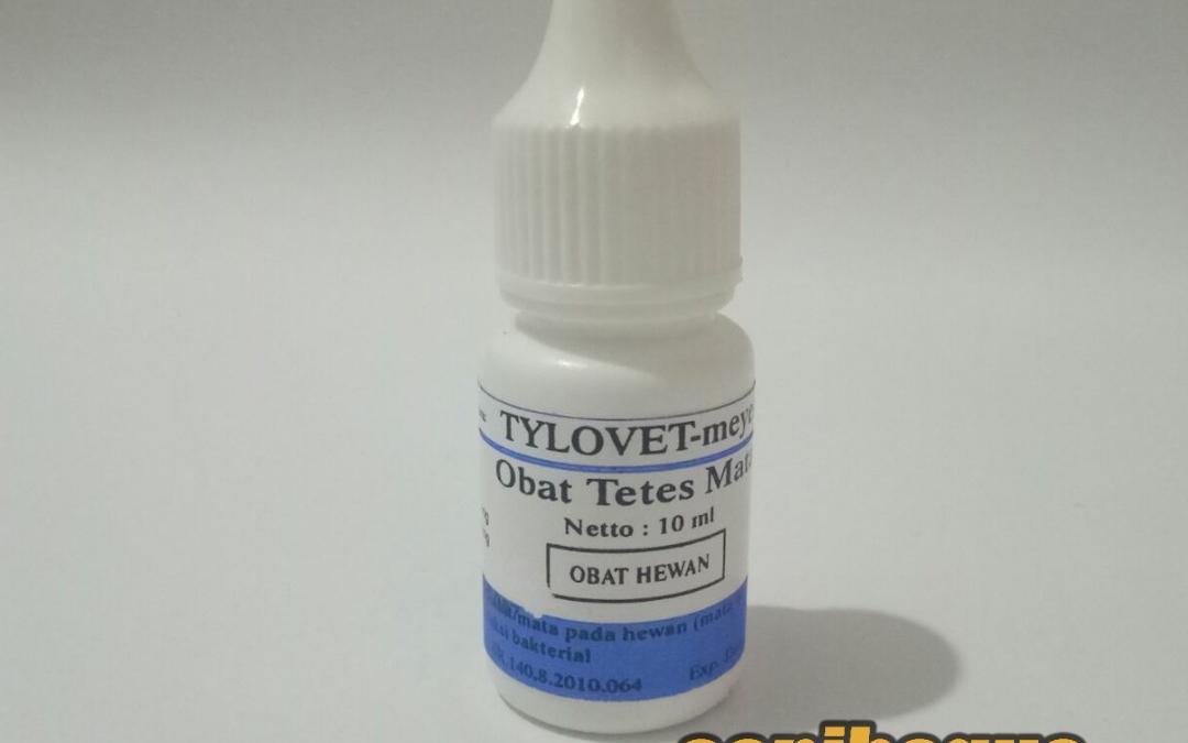 Detail Gambar Infeksi Mata Nomer 50
