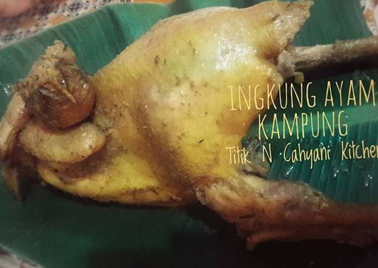 Detail Gambar Ingkung Ayam Jago Nomer 36