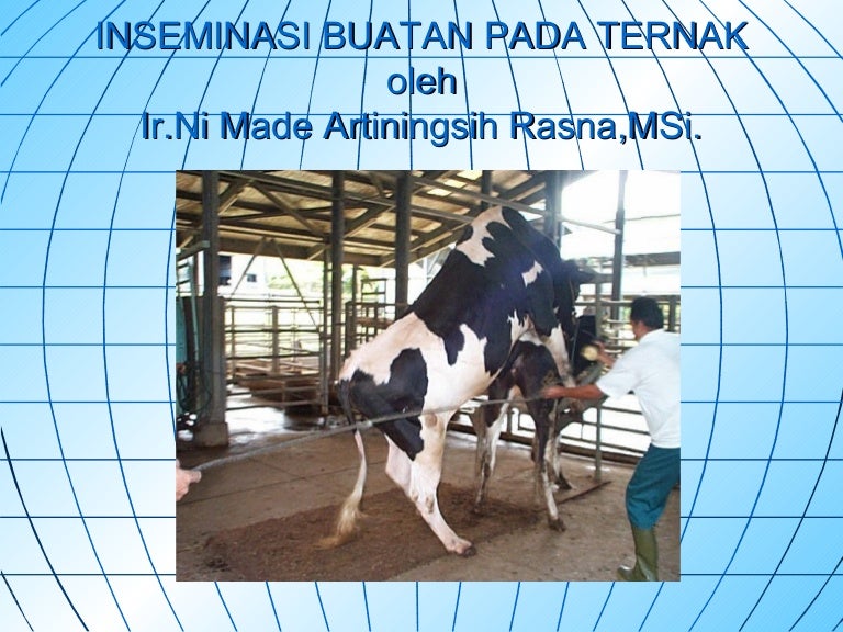 Detail Gambar Inseminasi Buatan Pada Hewan Nomer 11