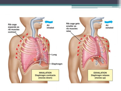 Detail Gambar Inspirasi Dan Ekspirasi Nomer 14