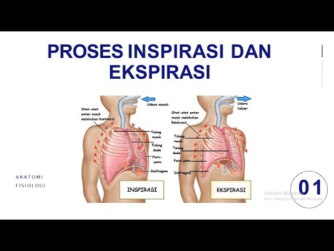 Detail Gambar Inspirasi Dan Ekspirasi Nomer 52