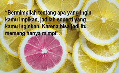 Detail Gambar Inspirasi Lucu Nomer 25