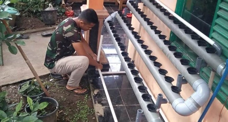 Detail Gambar Instalasi Hidroponik Nomer 19
