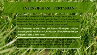 Detail Gambar Intensifikasi Pertanian Nomer 27