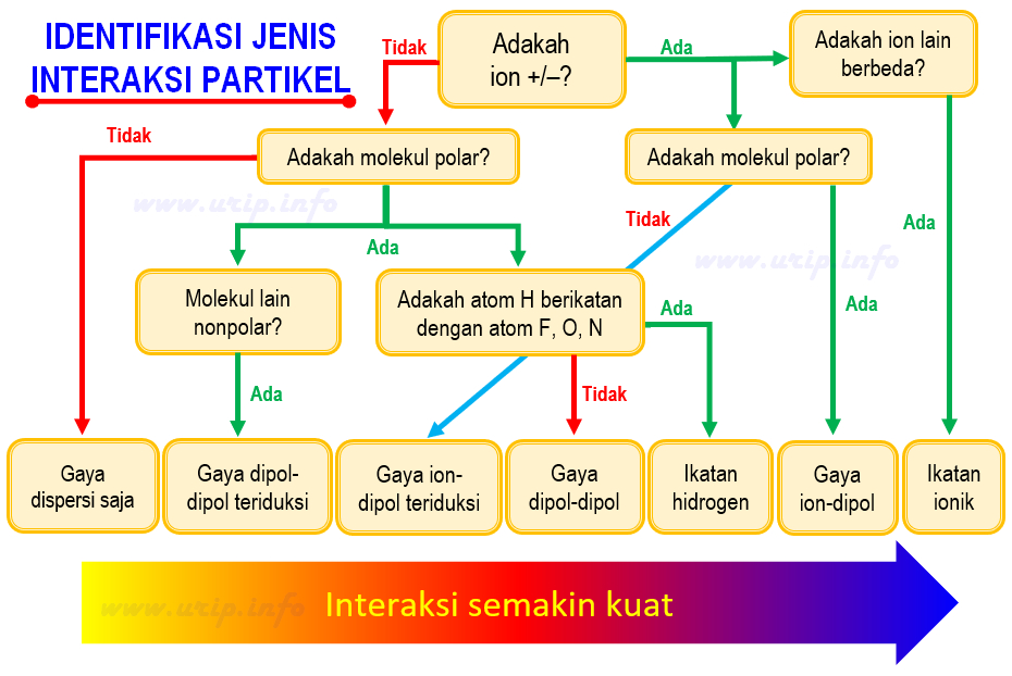 Detail Gambar Interaksi Dipol Dipol Terinduksi Nomer 48