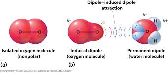 Detail Gambar Interaksi Dipol Dipol Terinduksi Nomer 7