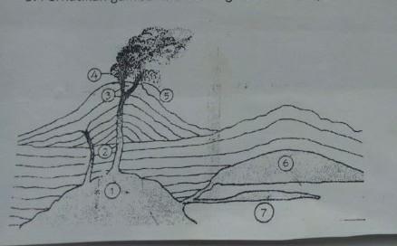 Detail Gambar Intrusi Magma Nomer 47