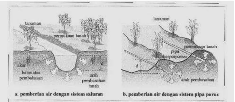 Detail Gambar Irigasi Bawah Permukaan Nomer 41