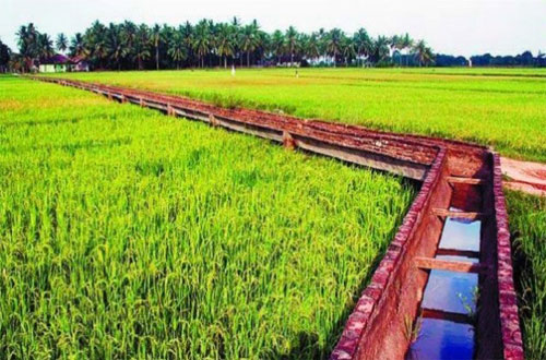 Detail Gambar Irigasi Sawah Nomer 15