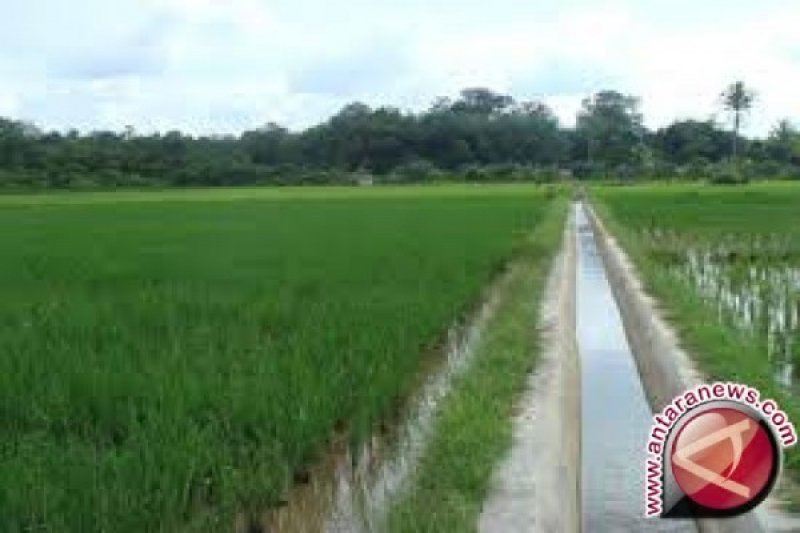 Detail Gambar Irigasi Sawah Nomer 18